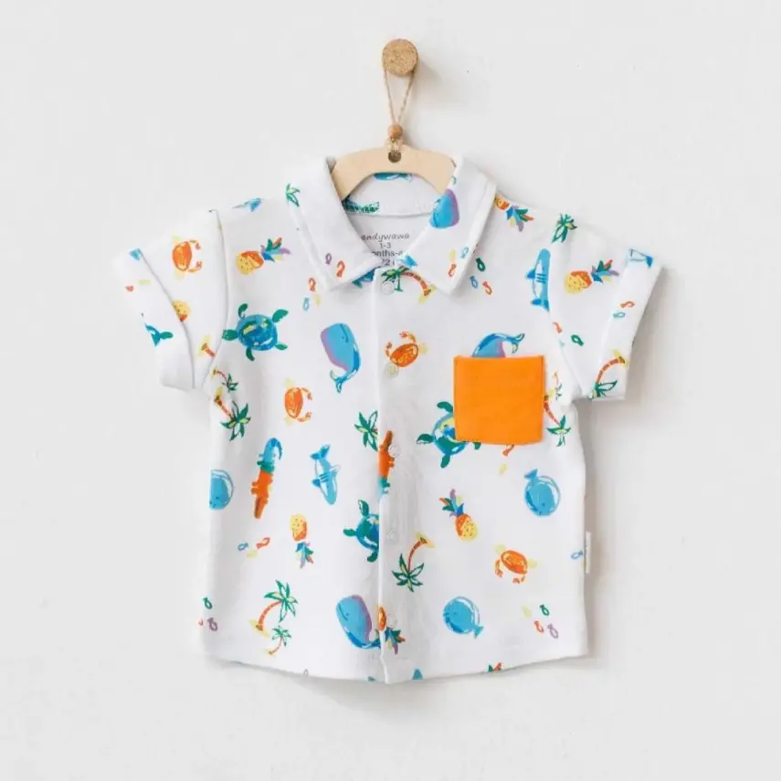 Andy Wawa Erkek Gömlek Play Time Renkli - 1