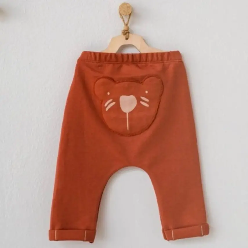 Andy Wawa Erkek Pantolon Bear Camp Tarçın - 1