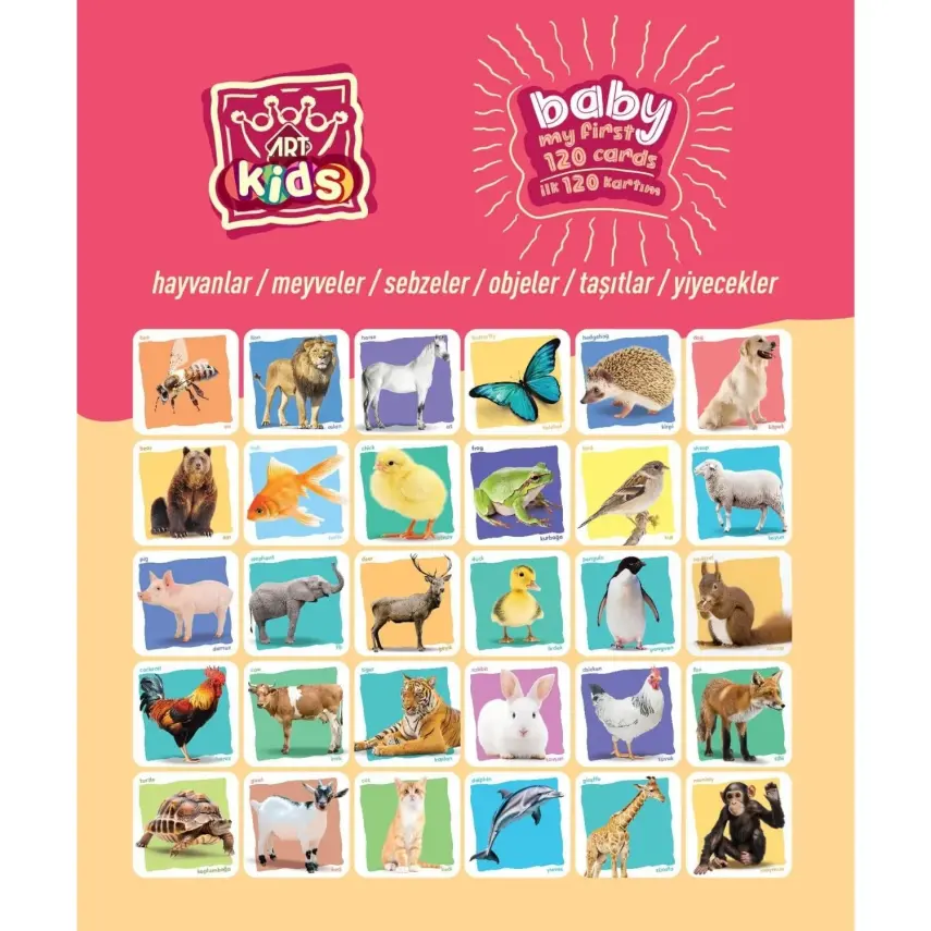 Art Kids Baby İlk Eğitici Kartlarım - 5