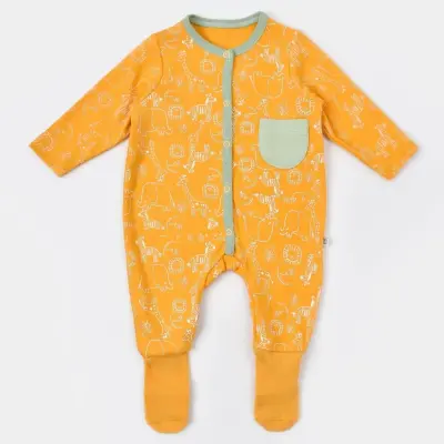 Bibaby Erkek Tulum Çoraptolon Zoo Is Good Old Gold