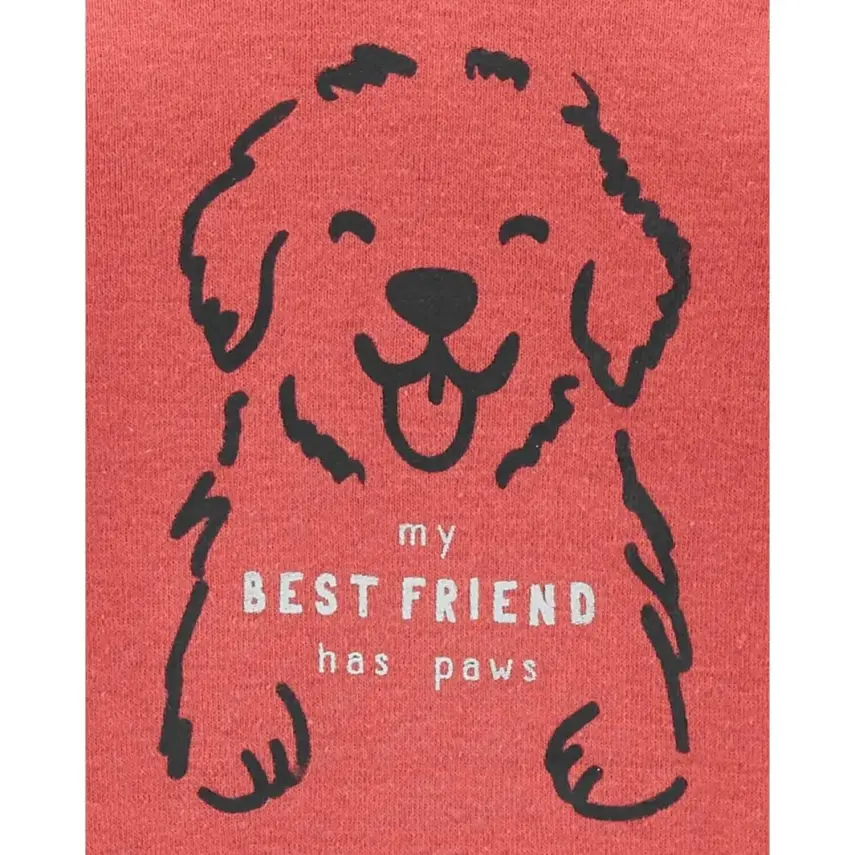 Carter's 3lü Takım Çok Renkli - 8