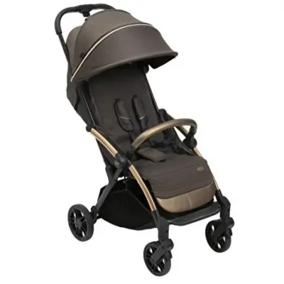 Chicco Goody Xplus Kabin Travel Sistem-Seyahat Sistem Bebek Arabası Bronze Lizard Re_Lux - 2