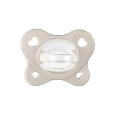 Chicco Physioforma Dual Soft Emzik Erkek 6-16 ay 2'li - 2