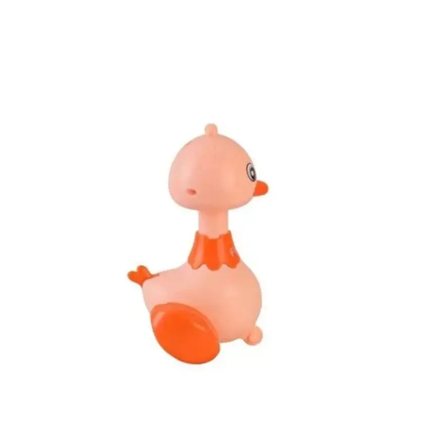 Displayde Basbırak Ördek - 2