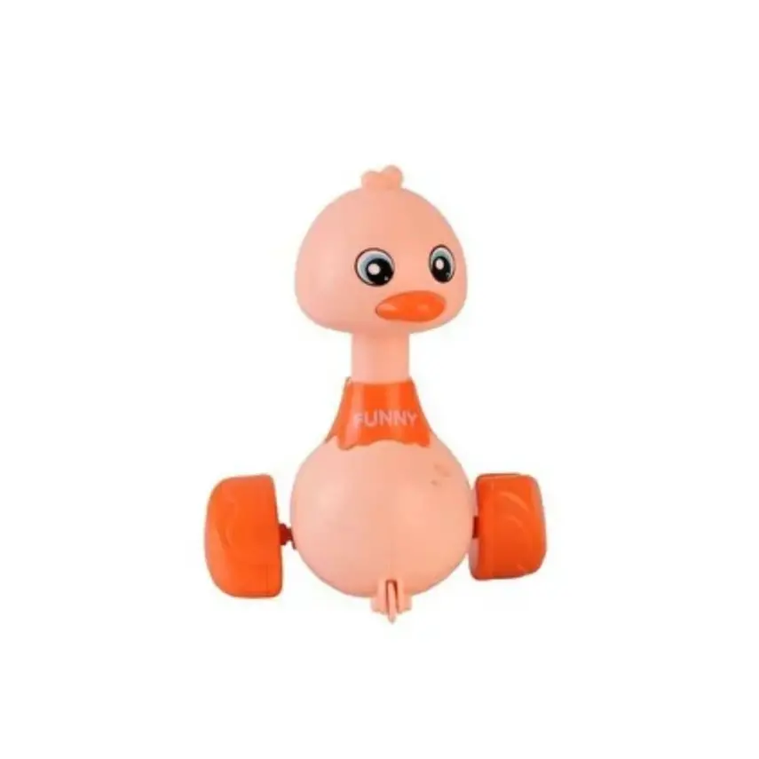 Displayde Basbırak Ördek - 1