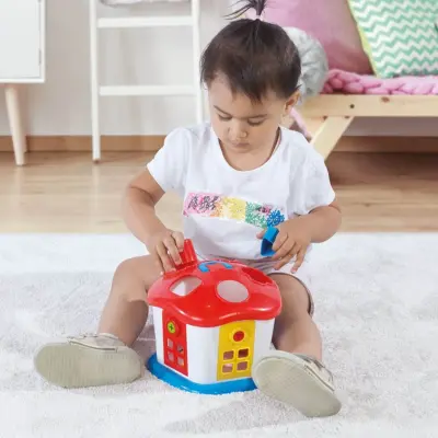 Dolu Sevimli Bultak Ev Kilitli Kapı - 3