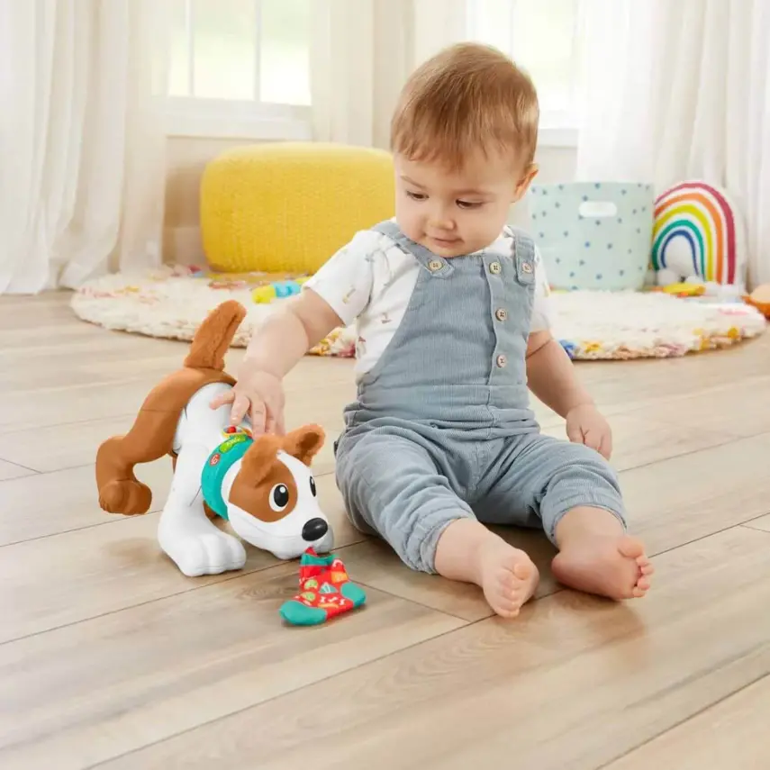 Emeklemeyi ve Saymayı Öğreten Köpekçik - 2