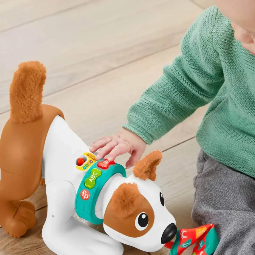 Emeklemeyi ve Saymayı Öğreten Köpekçik - 7