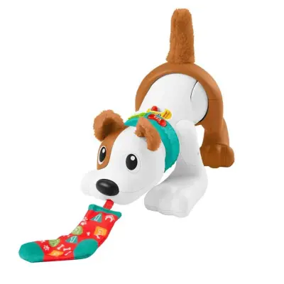 Emeklemeyi ve Saymayı Öğreten Köpekçik - 5