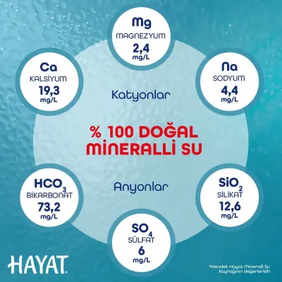 Hayat Doğal Mineralli Su 6lı - 11
