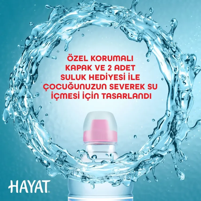 Hayat Doğal Mineralli Su 6lı - 12