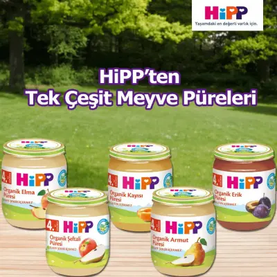 Hipp Organik Erik Püresi 125 gr x3 - 5
