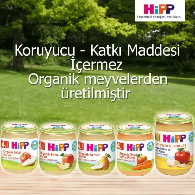 Hipp Organik Erik Püresi 125 gr x3 - 7