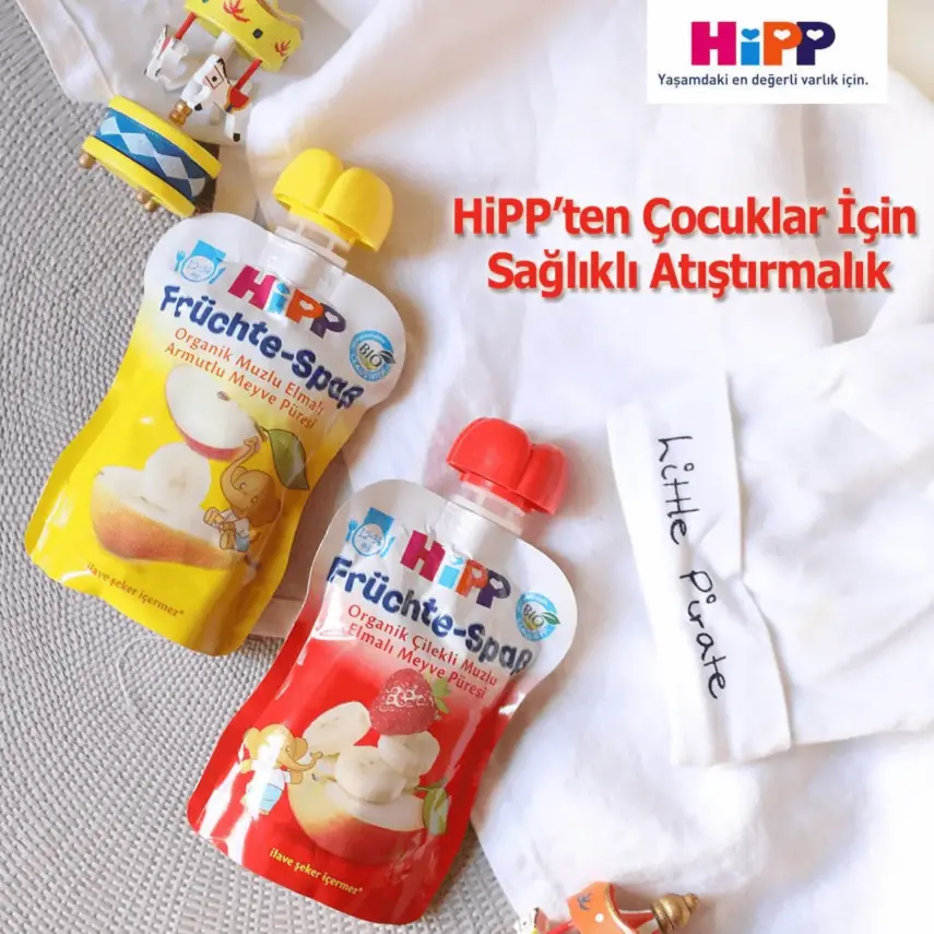 Hipp Organik Kivili Muzlu Armut Püresi 100 gr x3 - 5