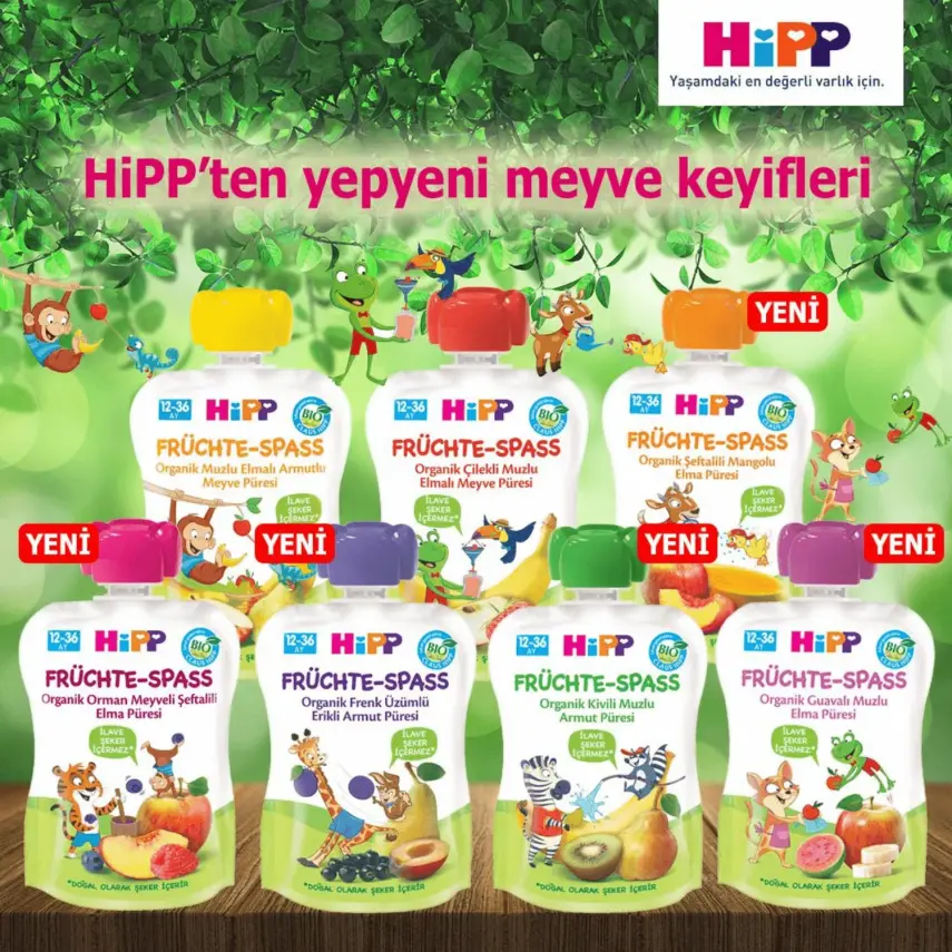 Hipp Organik Orman Meyveli Şeftalili Elma Püresi 100 gr x3 - 4