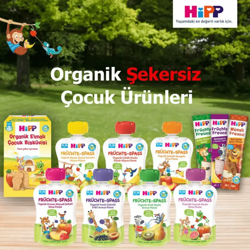 Hipp Organik Orman Meyveli Şeftalili Elma Püresi 100 gr x3 - 5