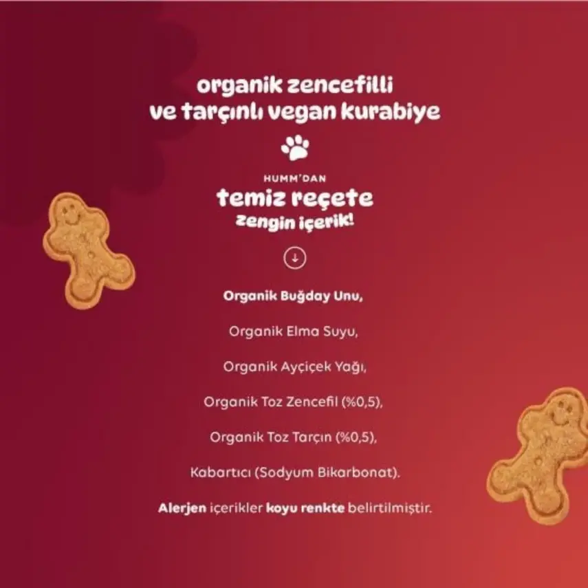 Humm Organic Tarçınlı ve Zencefilli Kurabiye 55 gr - 8