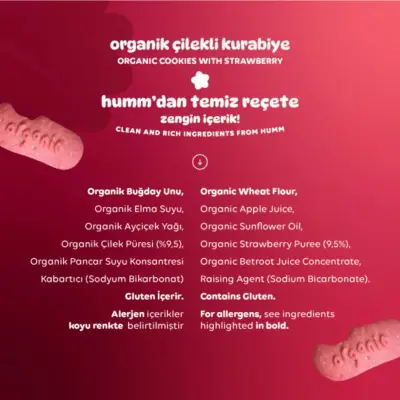 Humm Organic Vegan Çilekli Kurabiye 55 gr - 5