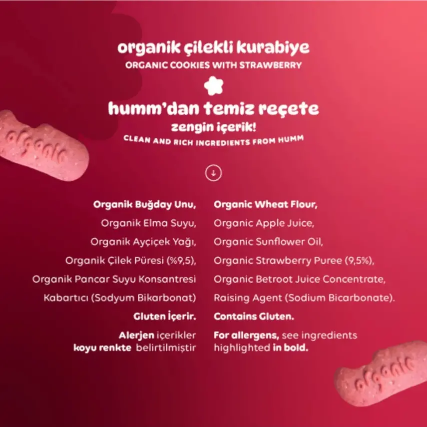 Humm Organic Vegan Çilekli Kurabiye 55 gr - 5