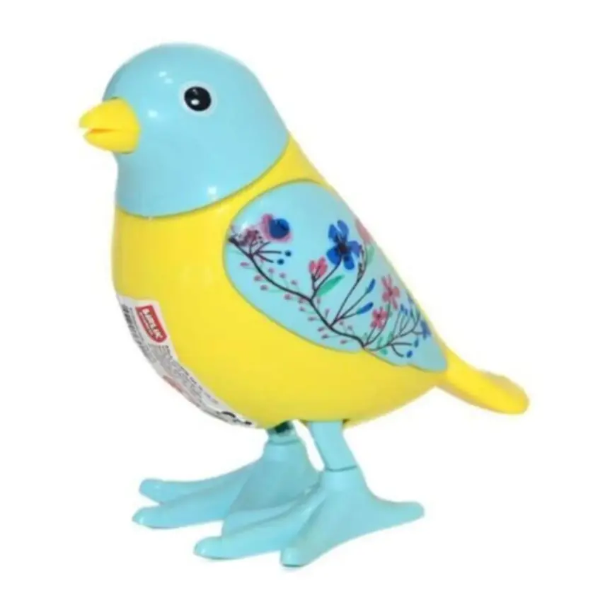 Kurmalıgiller Kuş - 1