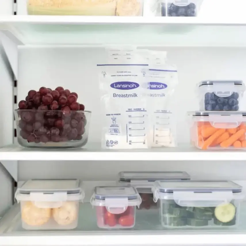 Lansinoh Süt Saklama Poşeti 50li x 2 Adet - 10