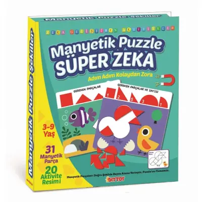 Manyetik Puzzle Süper Zeka - 2