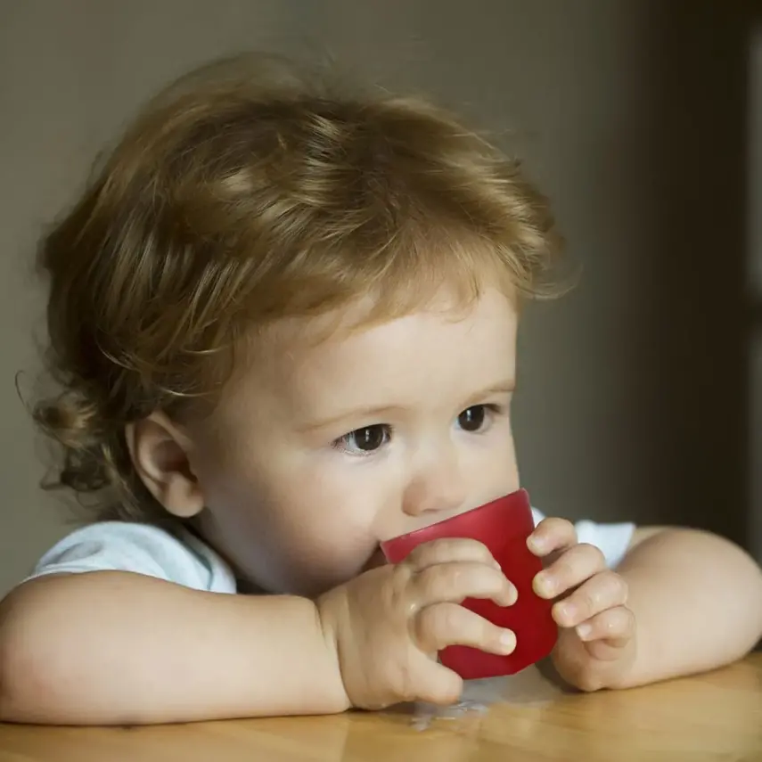 Mycey Mini Bebek Bardakları 3lü - 3