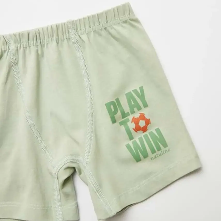 Natuline Organik Erkek Boxer Likralı Play To Win 2li Çağla Yeşili - Ekru - 4