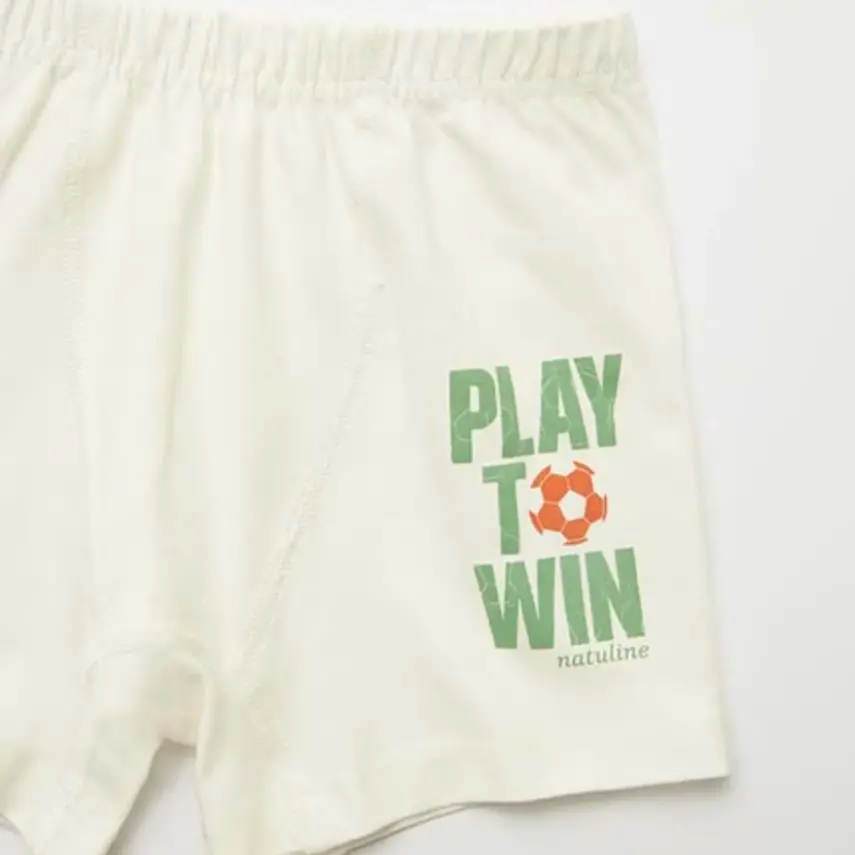 Natuline Organik Erkek Boxer Likralı Play To Win 2li Çağla Yeşili - Ekru - 5