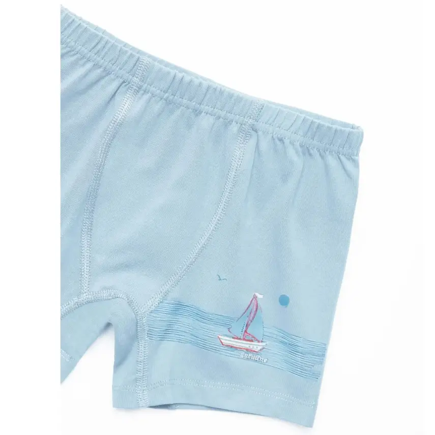 Natuline Organik Erkek Boxer Likralı Tekne Çizgili 2li Mavi - İndigo - 5