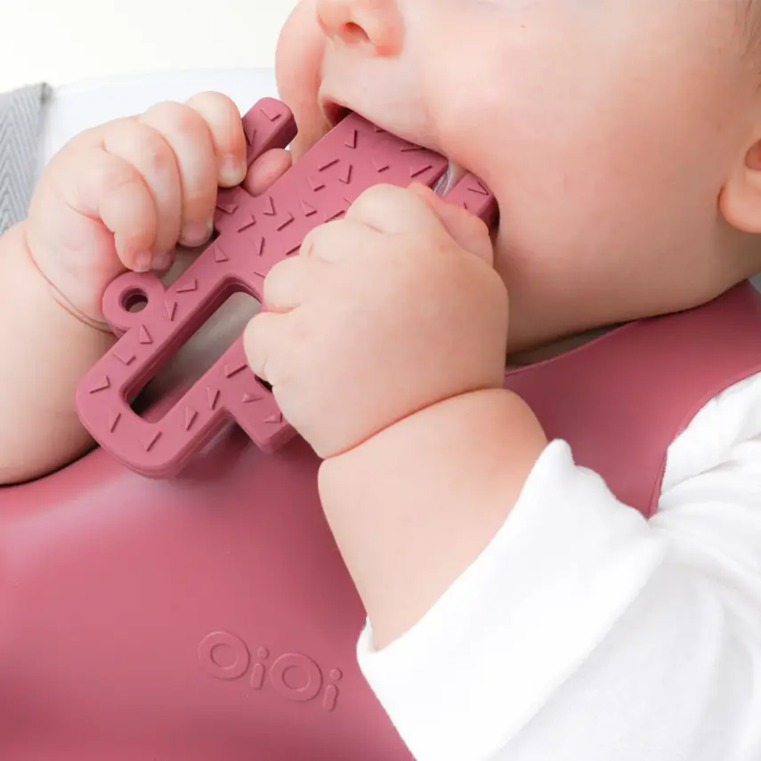 OiOi Kaktüs Diş Kaşıyıcı 3+ Ay Pinky Pink - 4