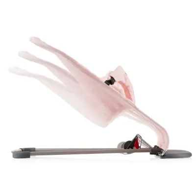 Pierre Cardin Plume Ev Tipi Ana Kucağı Pudra - 4