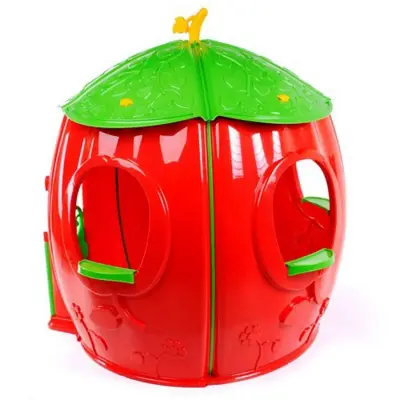 Pilsan Çilek Ev - 2