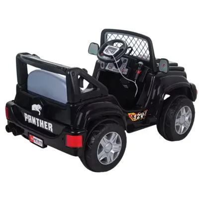 Pilsan Panther Akülü Araba Kumandalı 12 Volt Siyah - 2