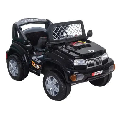 Pilsan Panther Akülü Araba Kumandalı 12 Volt Siyah