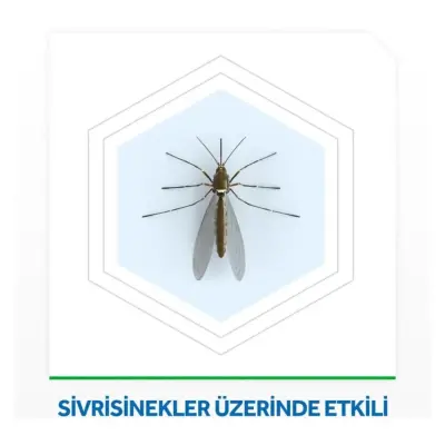 Raid Elektro Likit 45 Gece Yedek - 3