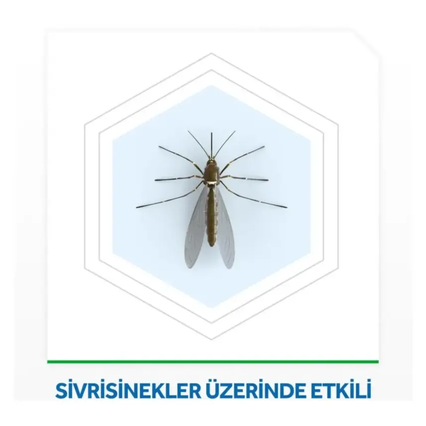 Raid Elektro Likit 45 Gece Yedek - 3