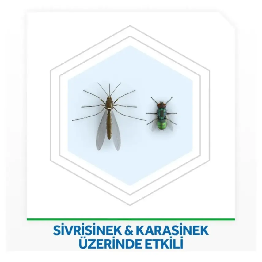 Raid Gece&Gündüz Yedek  - 2
