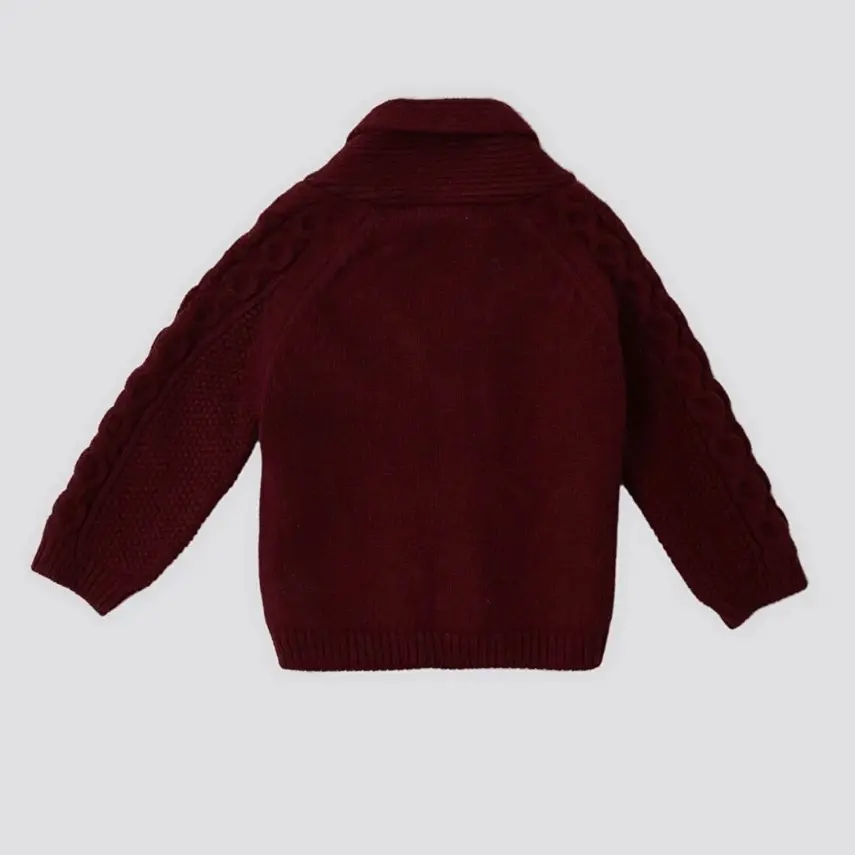 U.S. Polo Erkek Bebek Hırka Bordo - 4