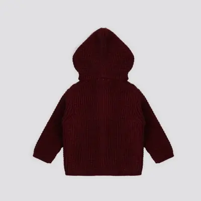 U.S. Polo Erkek Hırka Triko Bordo - 6