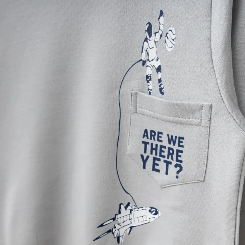 Winimo Erkek Çocuk Sweatshirt Are We There Yet Baskılı Boyalı Gri - 3