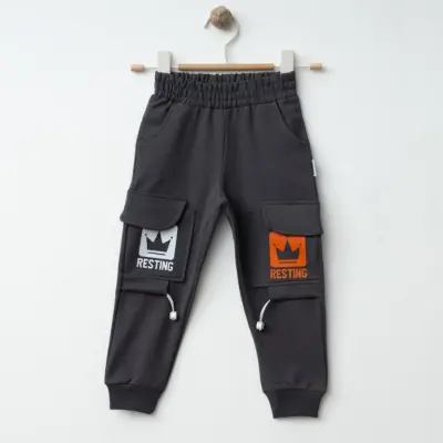 Winimo Erkek Eşofman Altı Resting Baskılı Füme